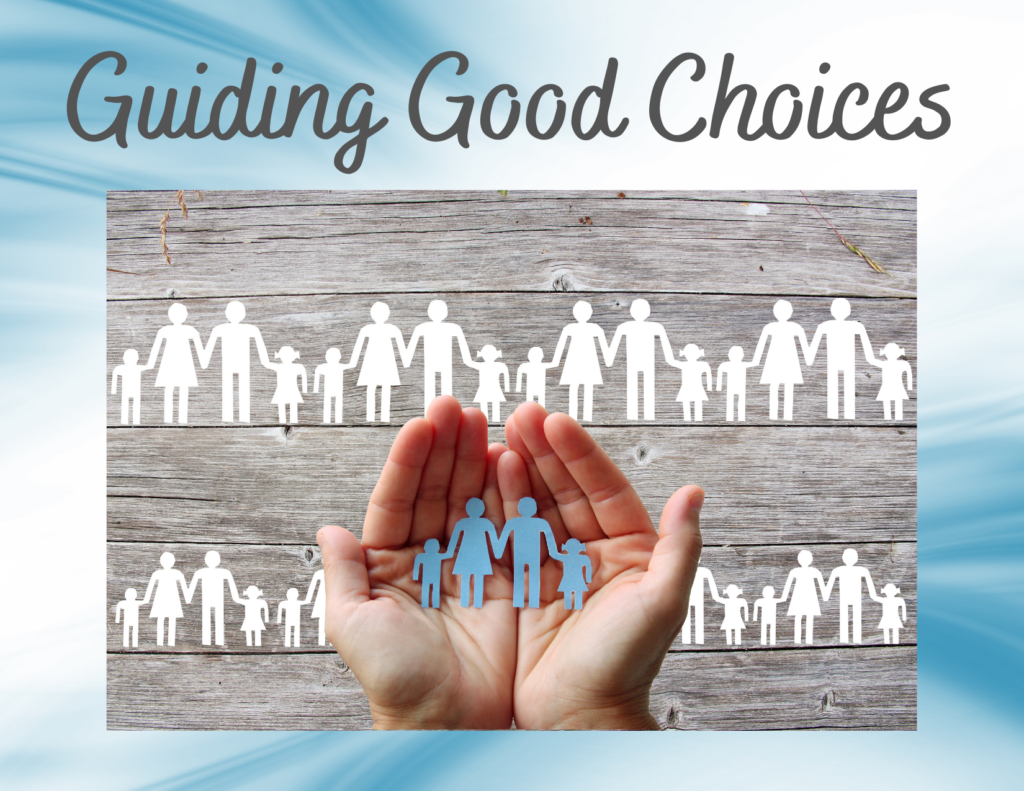 Guiding Good Choices